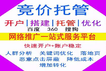SEM服务托管：提升广告效果的成功案例解析